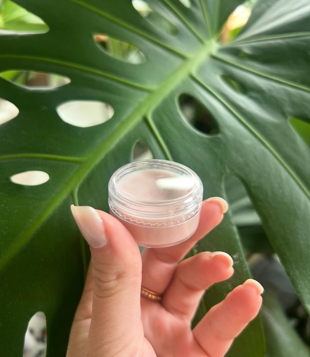 Shea Butter Lip Balm